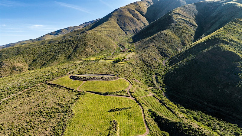 Argentina’s Wine Regions: What to Know