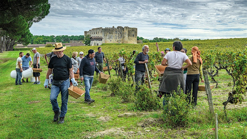 Insider Weekly: March 5 Edition