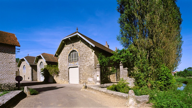 Tasting Excellence at Domaine Leroy, Part II