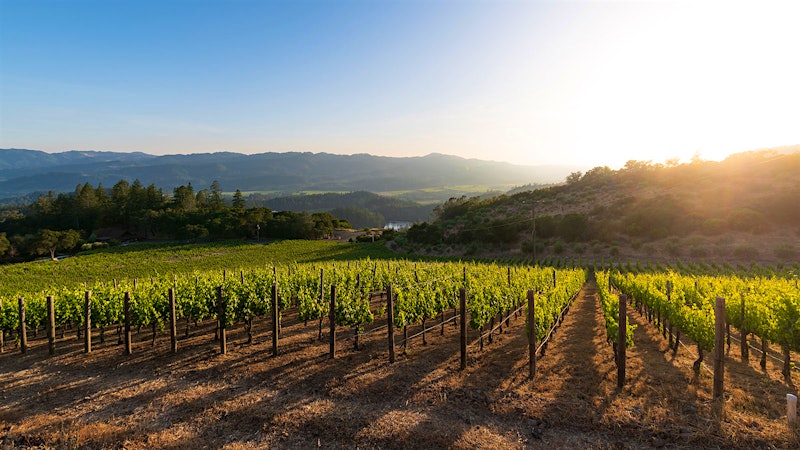 Napa Valley’s Newest Appellation: Crystal Springs