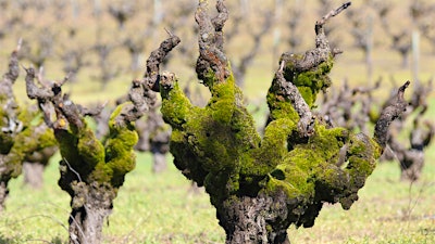 Insider Weekly: Jan. 15 Edition