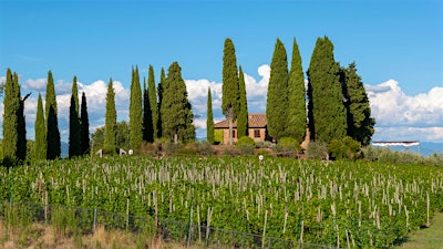 Insider Weekly: Feb. 26 Edition