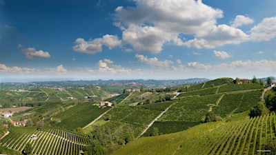 Insider Weekly: Jan. 29 Edition