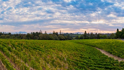 Insider Weekly: Feb. 12 Edition