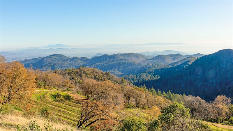 Mayacamas: Esteemed Past, Bright Future