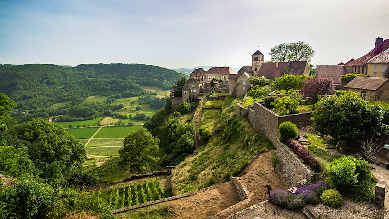Two Pinot Noir Specialists Partner On a Napa Cabernet