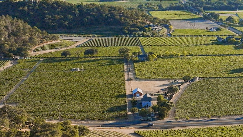 Cliff Lede Acquires Prized Vineyard in Stags Leap District