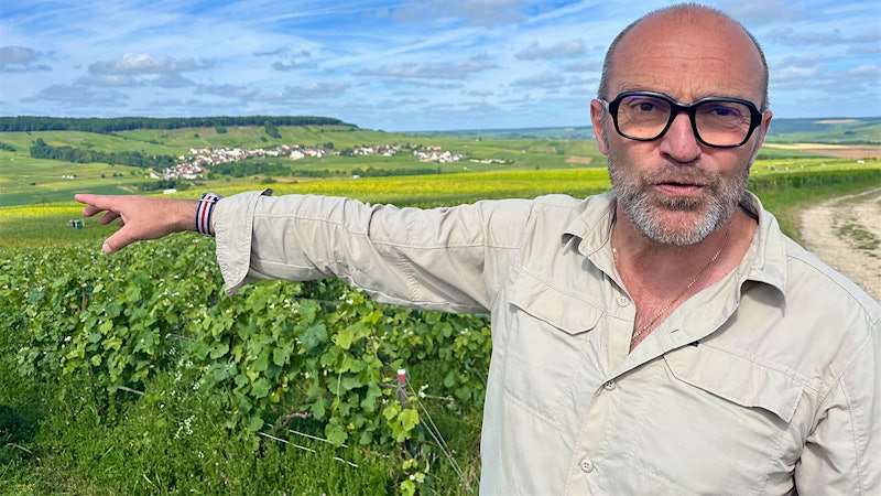 Falling for Champagne (Again), Part 3: Giving Pinot Meunier the Spotlight