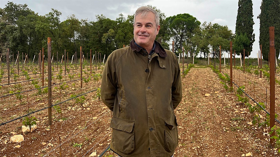 Stefano Inama continues to plant new parcels of Carmenère, such as this spring 2024 plot, to explore its expressions in different <i>terroirs</i>.