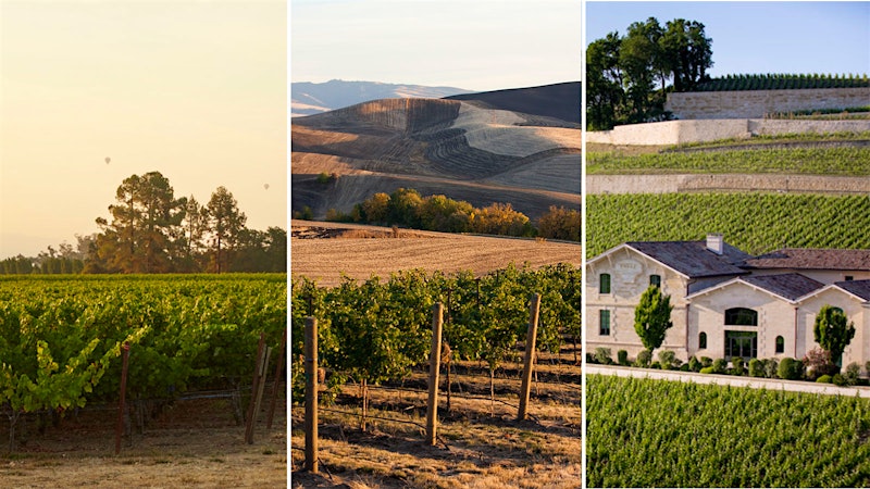 There’s “There” in That Glass