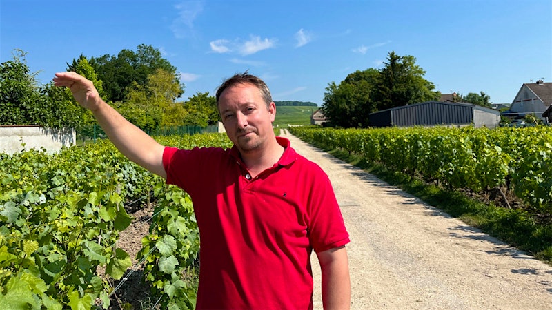 Falling for Champagne (Again), Part 2: A Second Name to Love