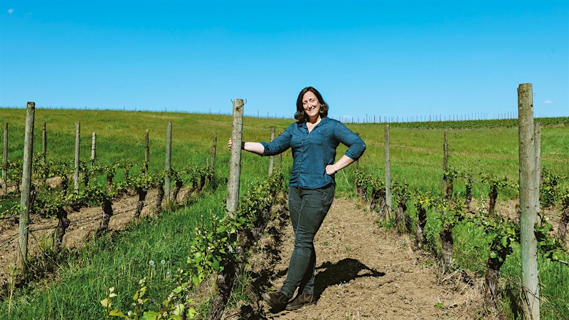 Oregon’s Intriguing Chardonnays