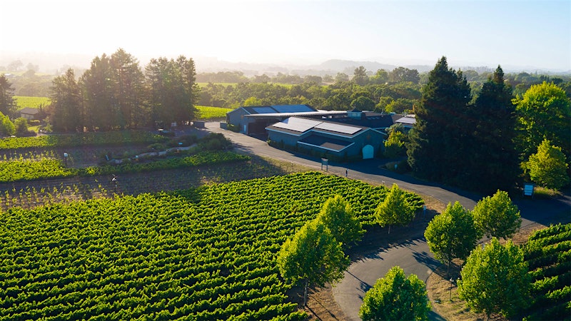 8 Excellent California Pinot Noirs Up to 92 Points