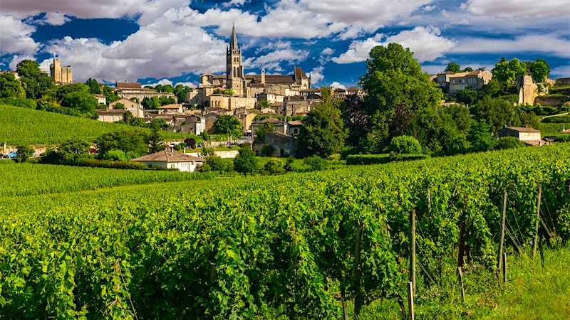 7 Outstanding St.-Emilion Wines Priced $50 or Less