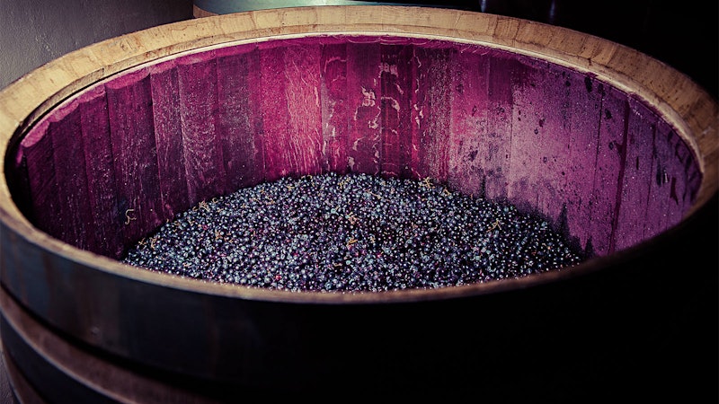 Discover Spain with These 9 Amazing Riojas at 90+ Points