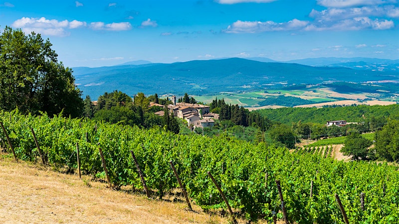 8 Excellent Tuscan Reds Priced $35 or Less