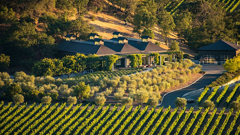 10 Outstanding California Sauvignon Blancs from Napa and Sonoma