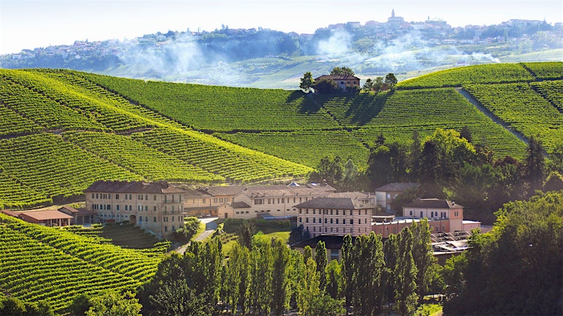 Barbera and Dolcetto: 8 Great Piedmont Reds Under $30