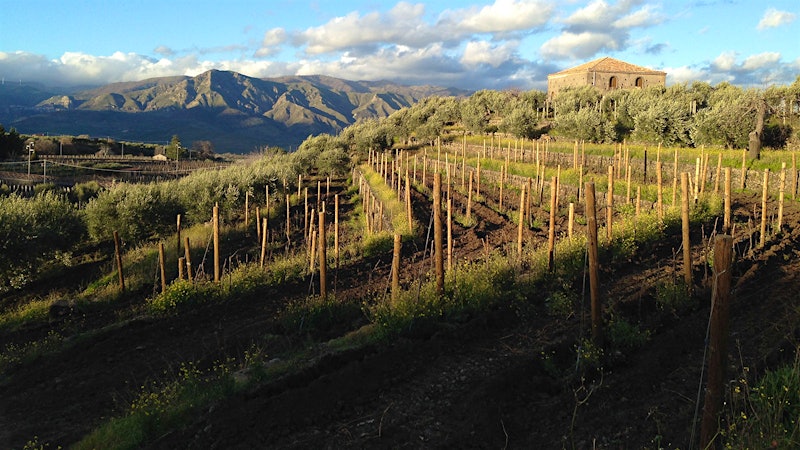 Discover Southern Italy with These 11 Fantastic Wines