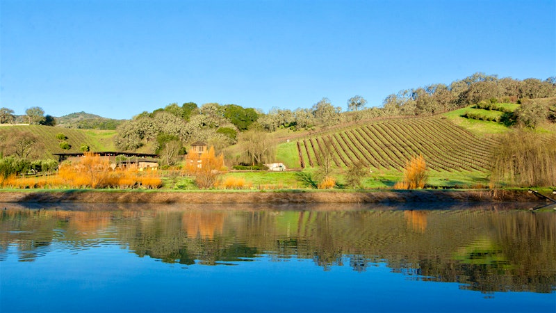 7 Sensational California White Wines at 90+ Points