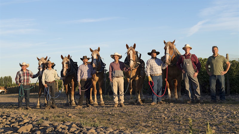 A Vertical Tasting with Real Horsepower