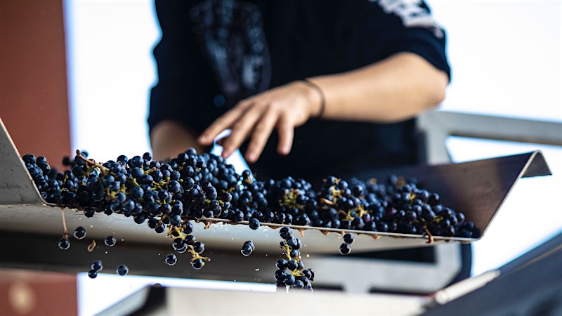 Alphabetical Guide to Washington Wines