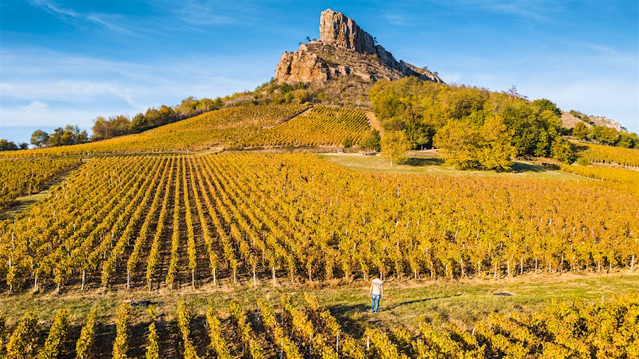 The Rock of Solutré and vineyards in Burgundy, France. Photo credit: © Marco Bottigelli/Getty ImagesQuiz Bourguignon: A Burgundy Wine Test
