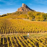 The Rock of Solutré and vineyards in Burgundy, France. Photo credit: © Marco Bottigelli/Getty ImagesQuiz Bourguignon: A Burgundy Wine Test