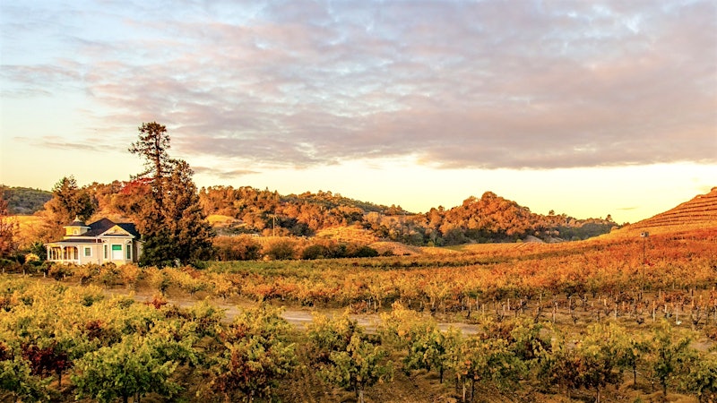 2024 Wine Value of the Year